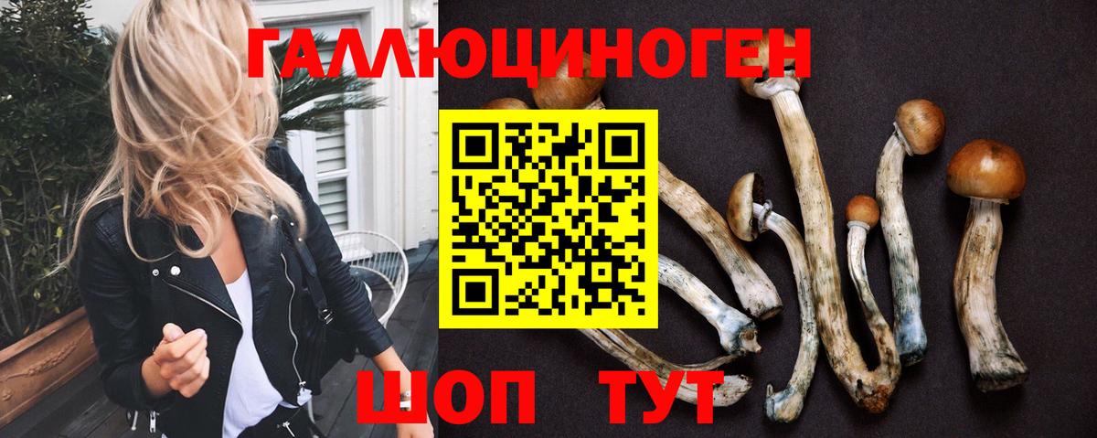 купить наркоту  Галлюциногенные грибы Psilocybe  Вход с VPN  Семилуки 